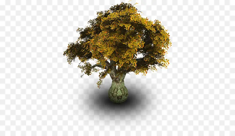 Árbol，Naturaleza PNG