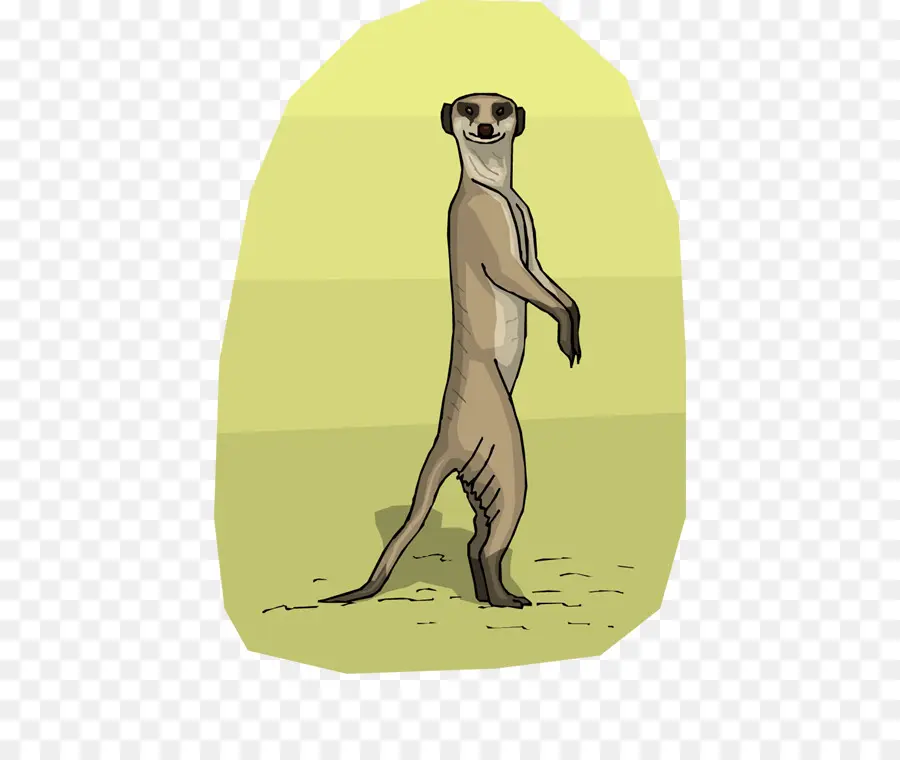 Suricata，Comparar El Suricata PNG