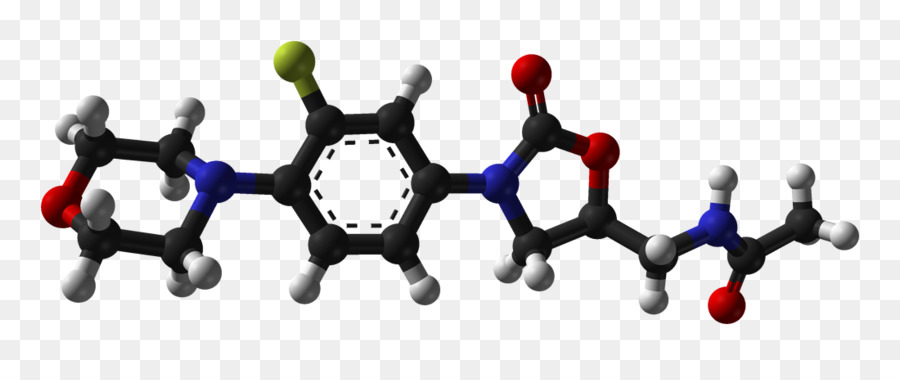 Estructura Química，Molécula PNG