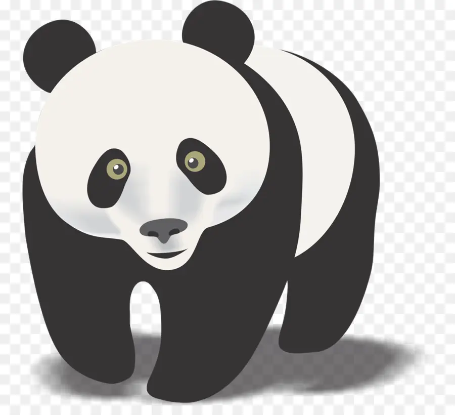 El Panda Gigante，El Panda Rojo PNG