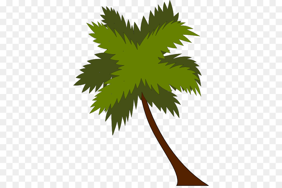 Palmera，Hojas PNG