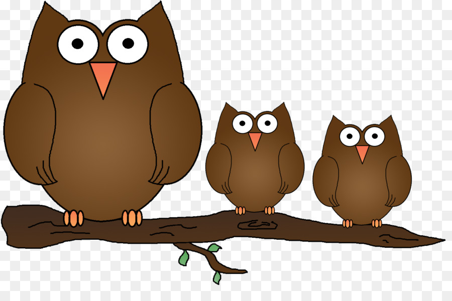 Búhos，Aves PNG