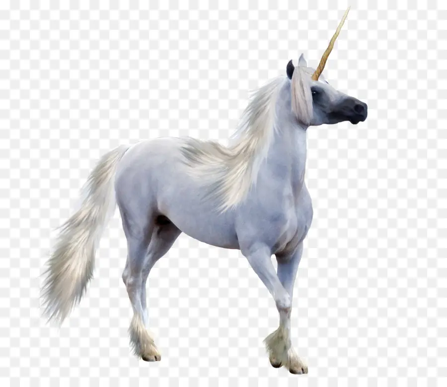 Unicornio，Pegasus PNG