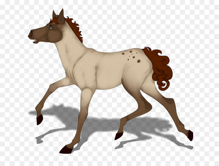 Mustang，Pony PNG