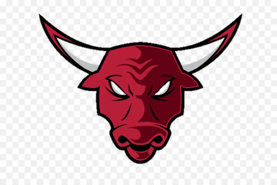 Chicago Bulls，Logotipo PNG