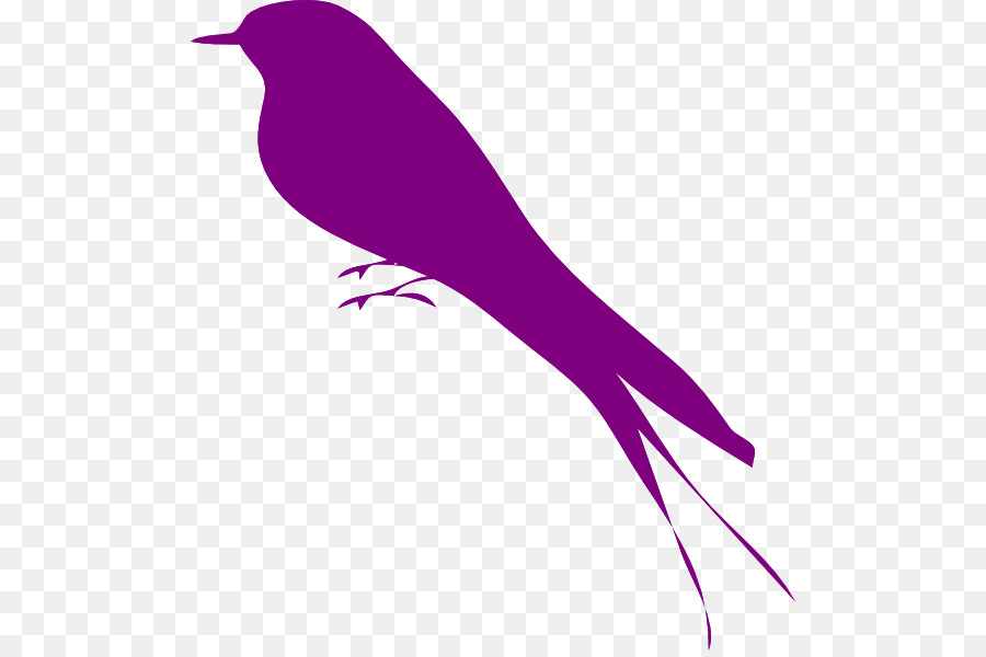 Pájaro Morado，Silueta PNG