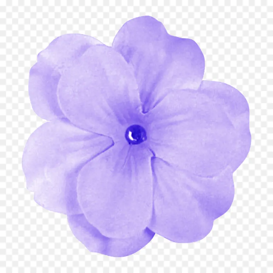 Flor，Púrpura PNG