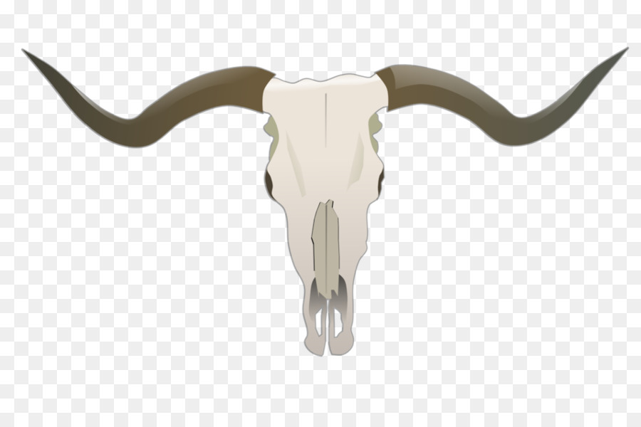 Texas Longhorn，Bien PNG