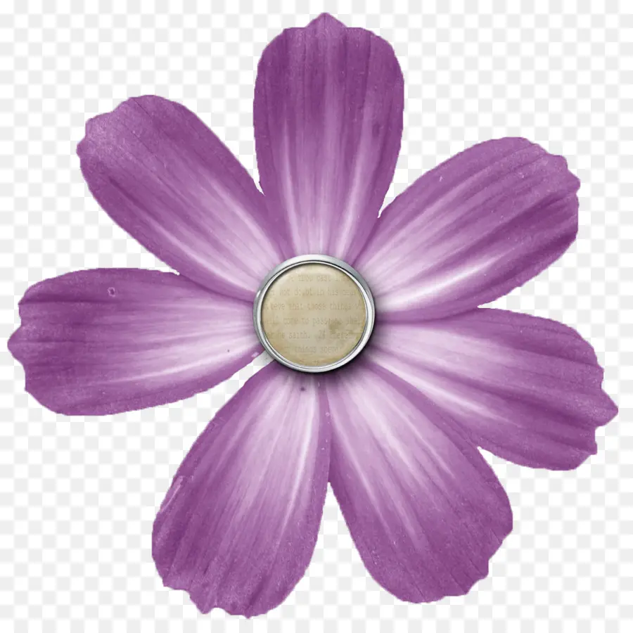 Flor Morada，Florecer PNG