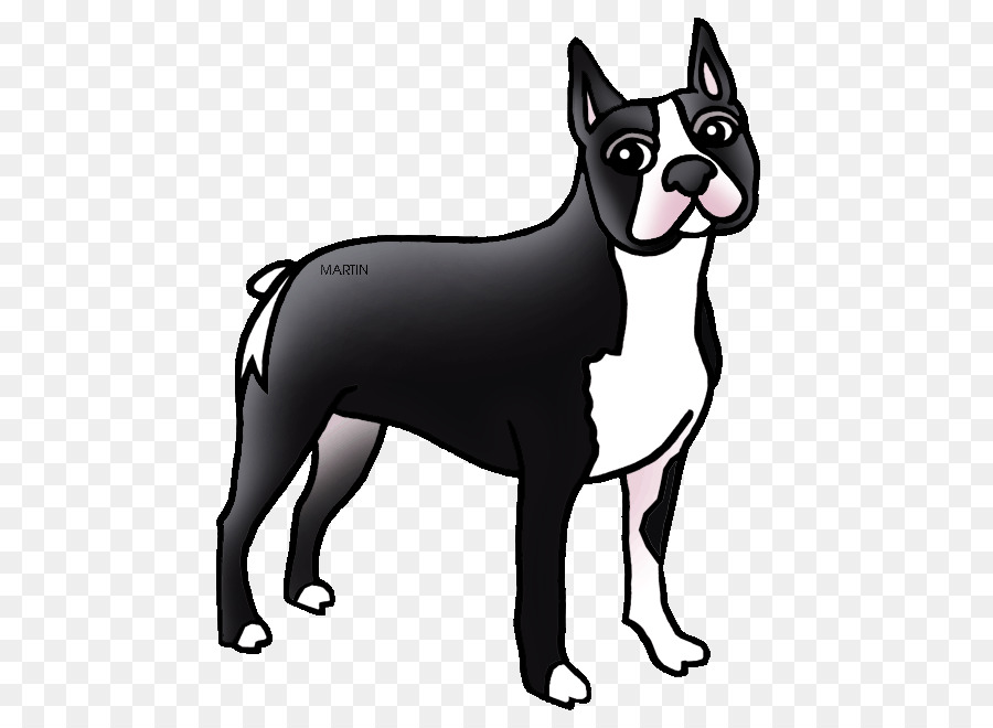 Boston Terrier，West Highland White Terrier PNG