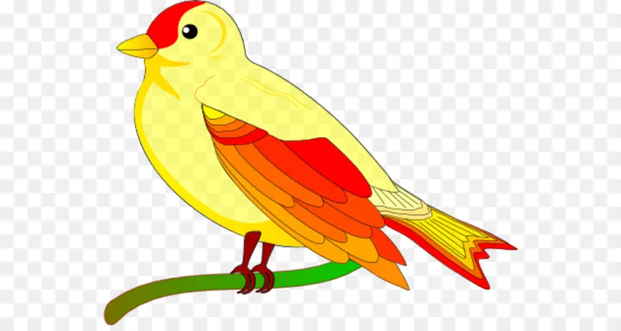 Pájaro Colorido，Amarillo PNG