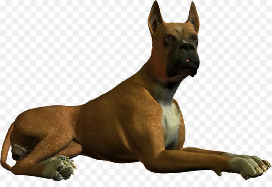 Perro Marrón，Mascota PNG