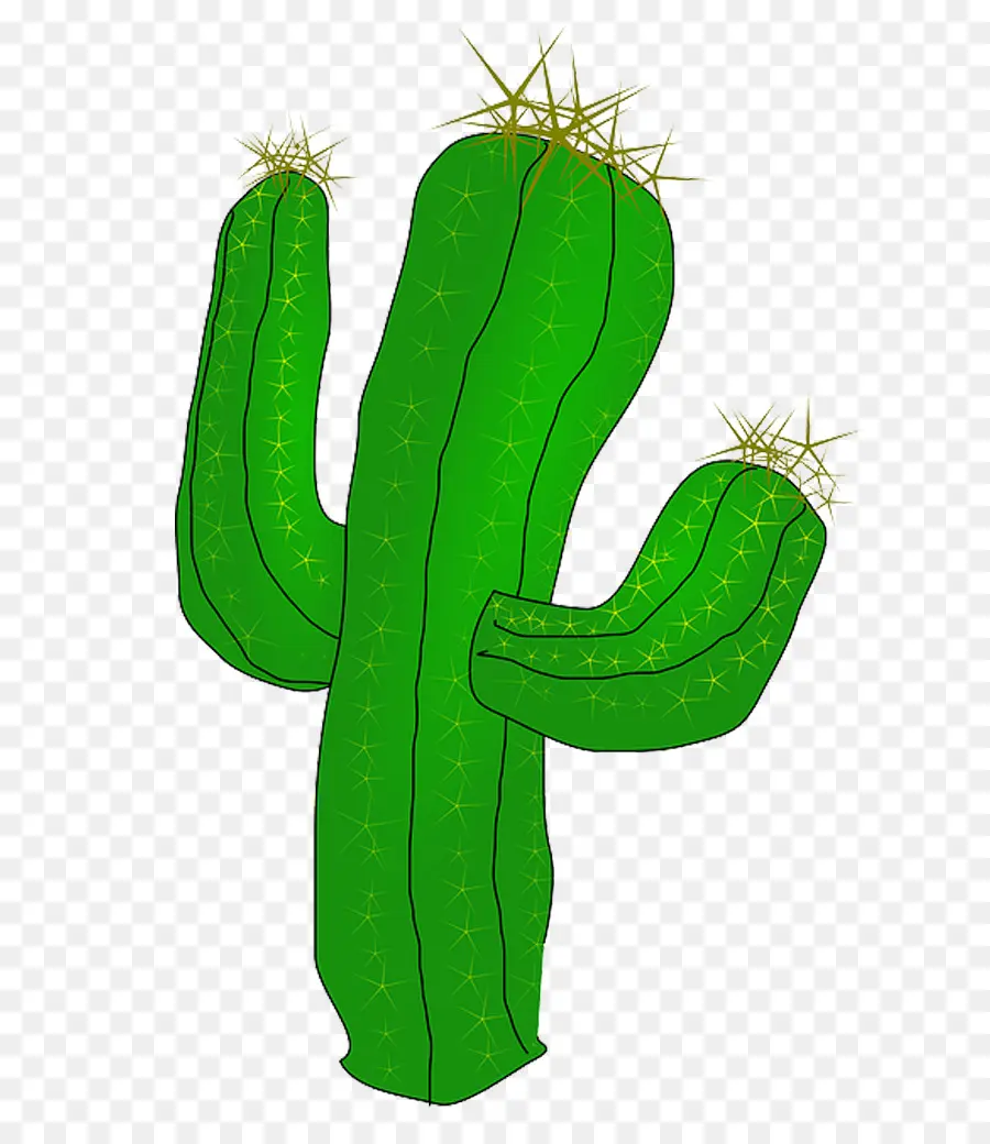 Cactus，Desierto PNG