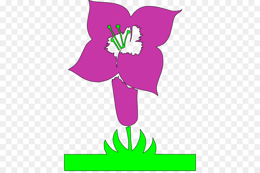 Flor，Cartel PNG