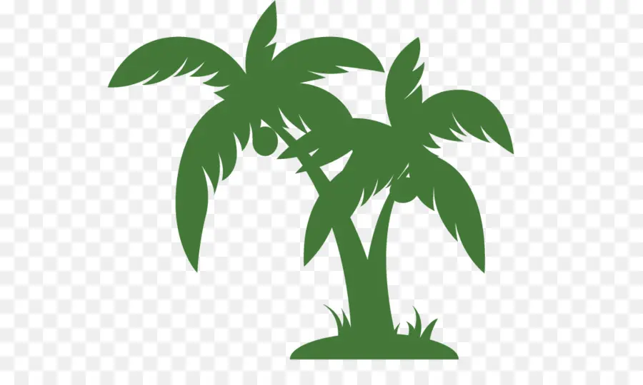 Arecaceae，árbol PNG