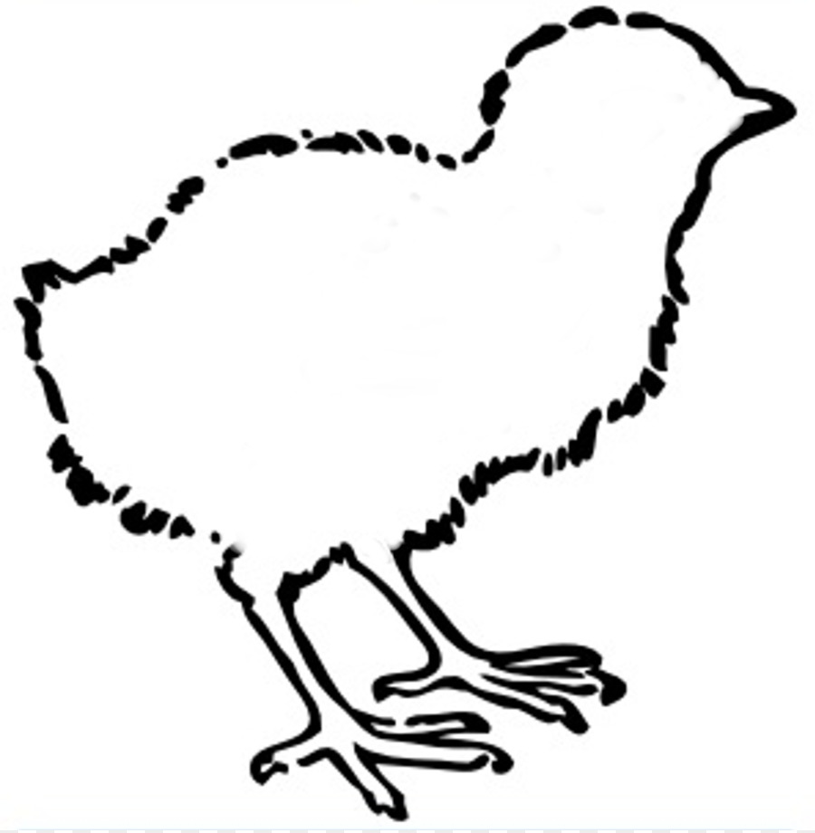 Pollo，Kifaranga PNG