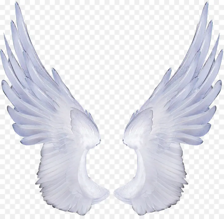 ángel，Fondo De Escritorio PNG