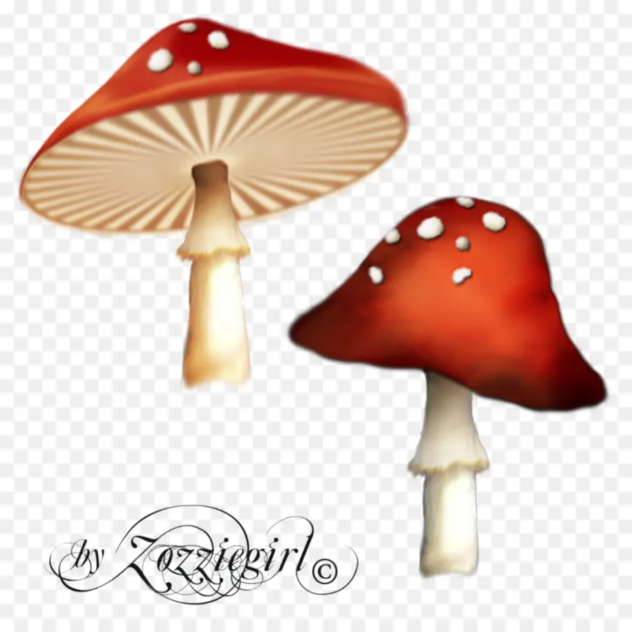 Champiñones Rojos，Hongos PNG