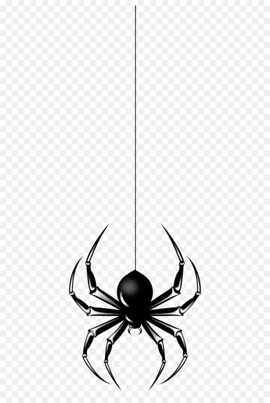 Araña，Halloween PNG