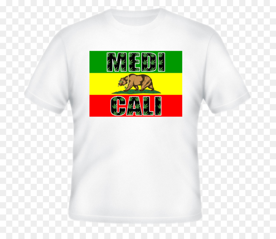 Camiseta，Oso PNG