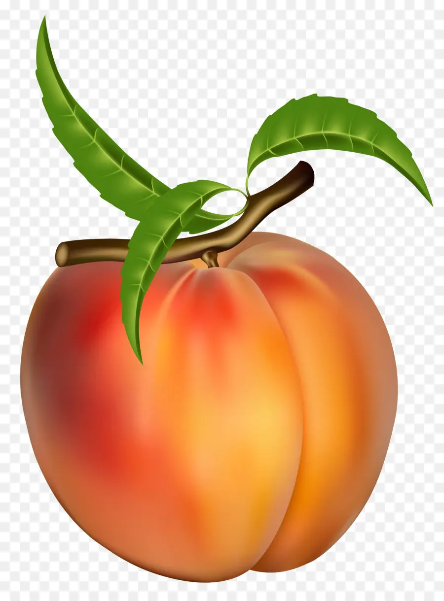 Nectarina，La Fruta PNG