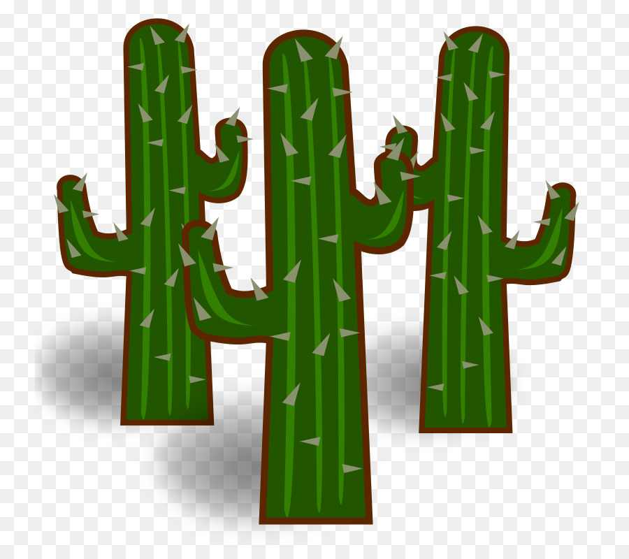 Cactaceae，Libre De Contenido PNG