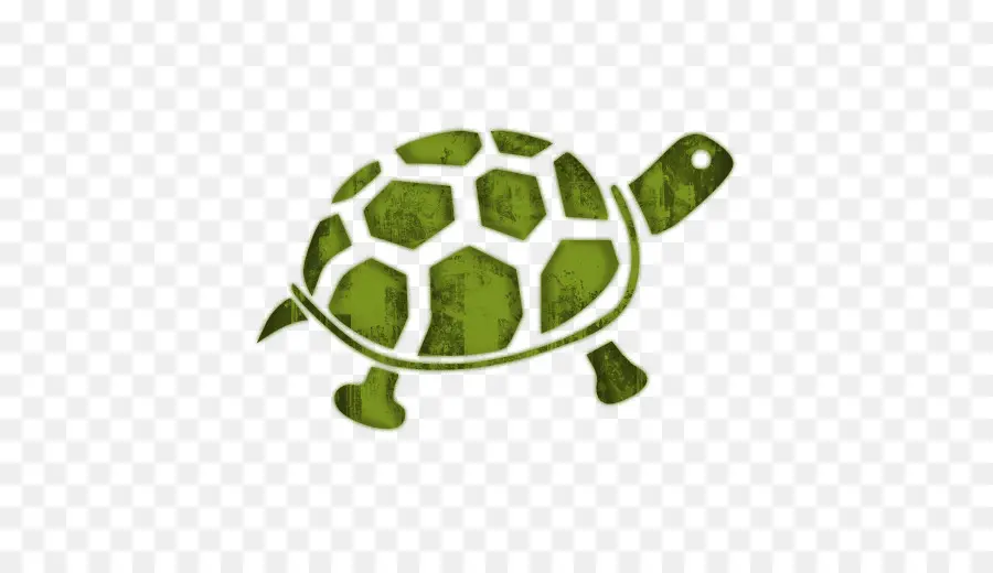 Tortuga，Iconos De Equipo PNG