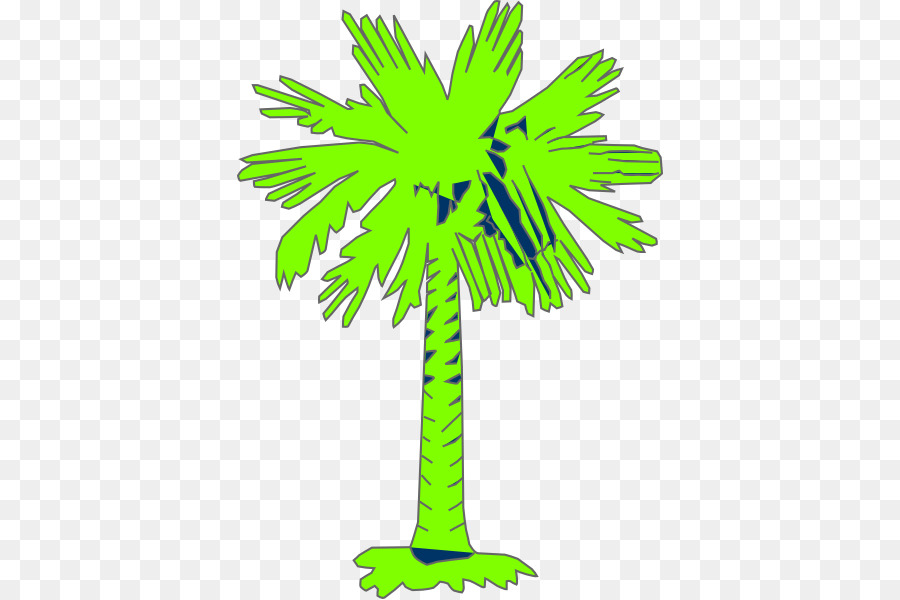 Carolina Del Sur，Sabal Palm PNG