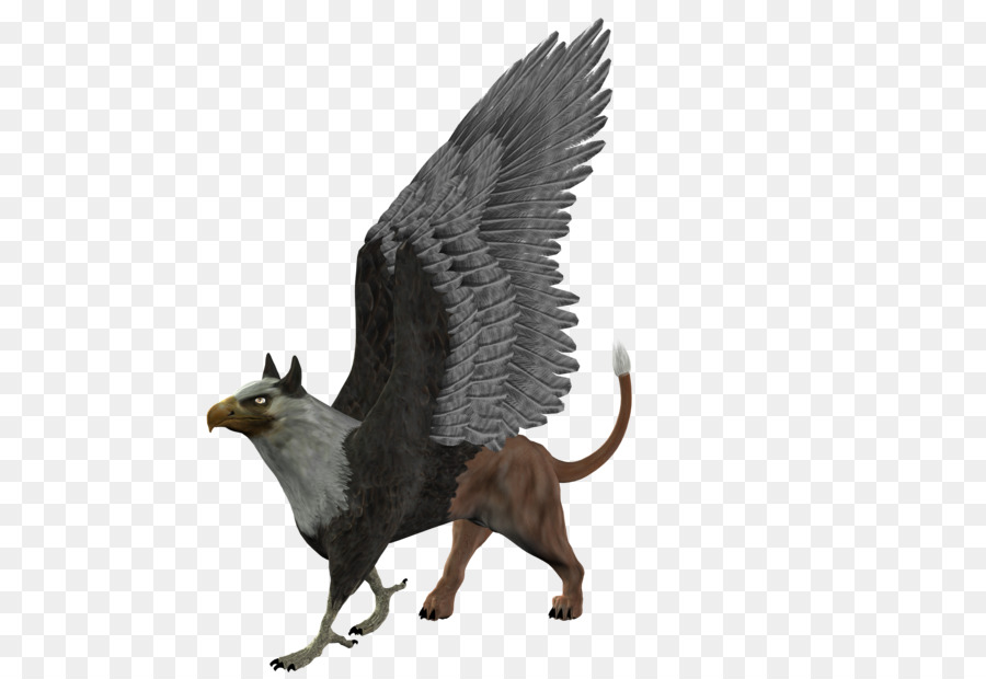 Griffin，Stock PNG