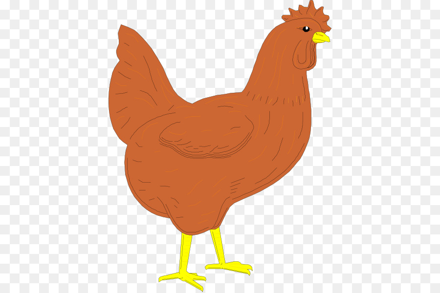 Silkie，La Carne De Pollo PNG