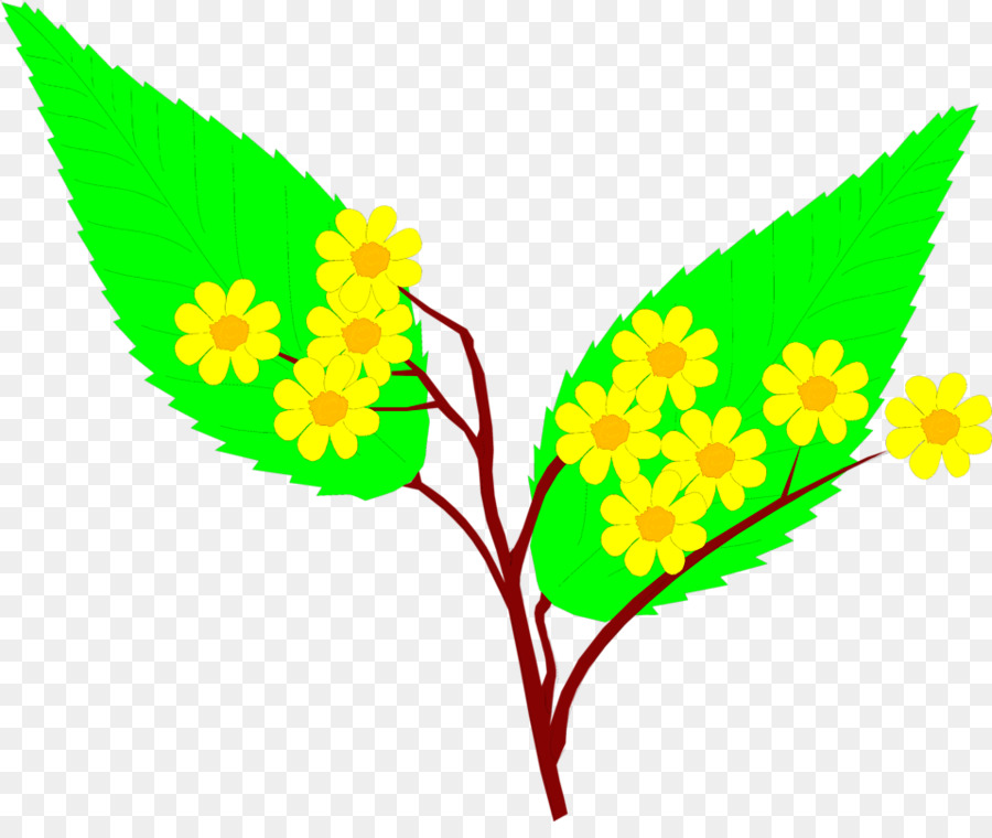 Amarillo，Flor PNG