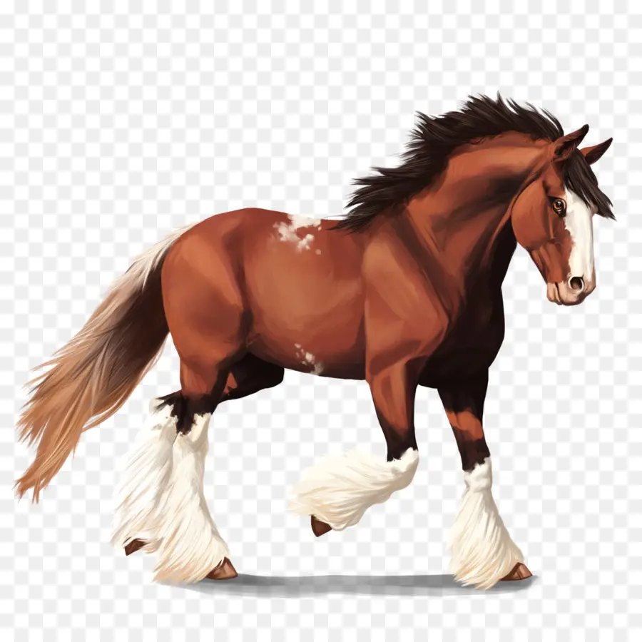 Caballos Corriendo，Animales PNG