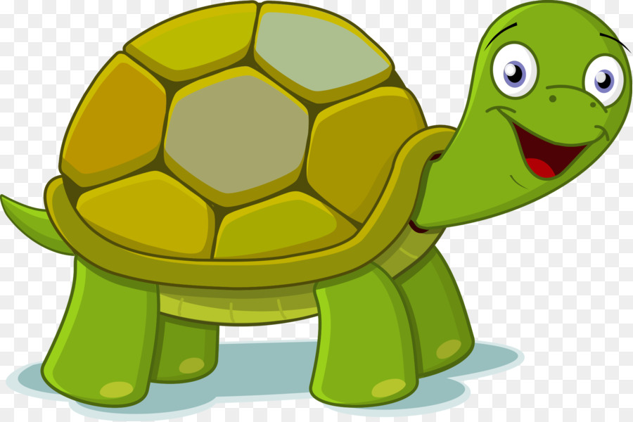 Tortuga Y Caracol De Dibujos Animados，Animal PNG