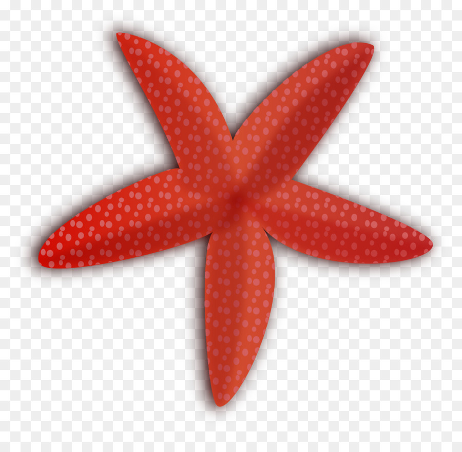 Estrella De Mar，Rojo PNG