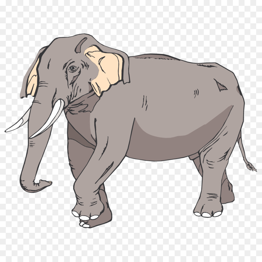 Elefante De Dibujos Animados，Elefante PNG