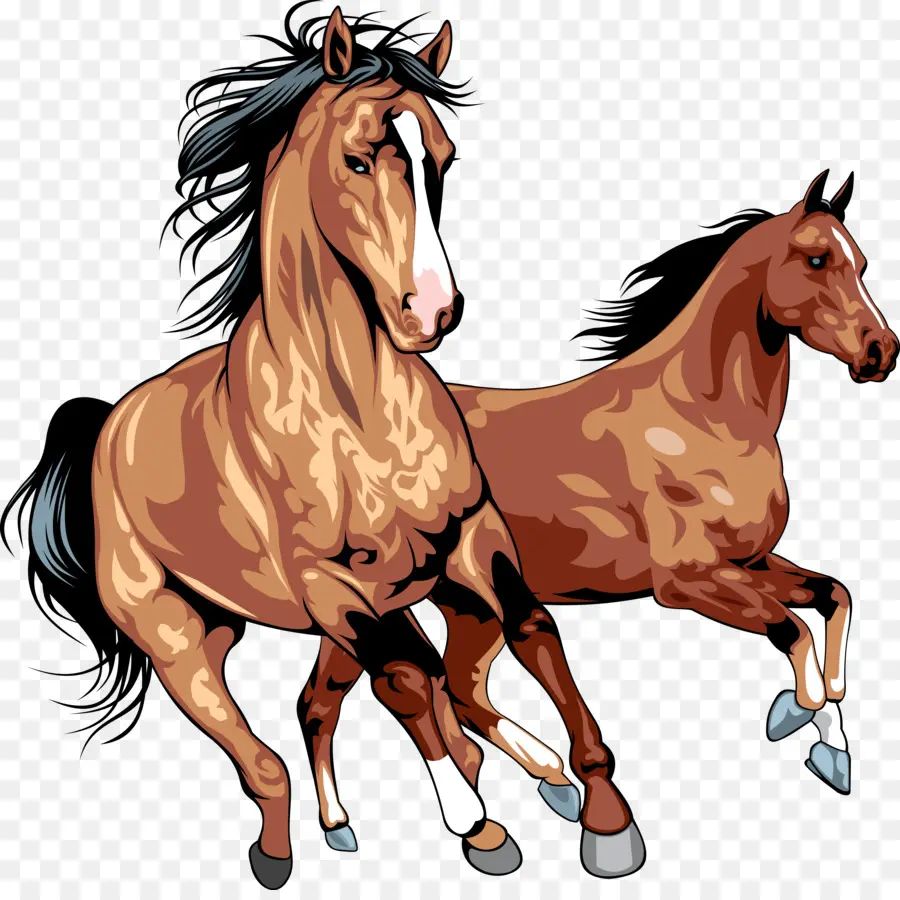 Caballo，Caballo Salvaje PNG