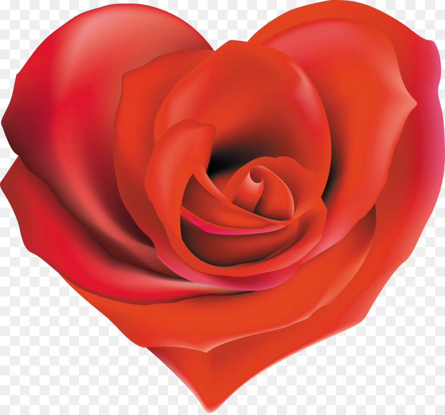 Rosa En Forma De Corazón，Amar PNG