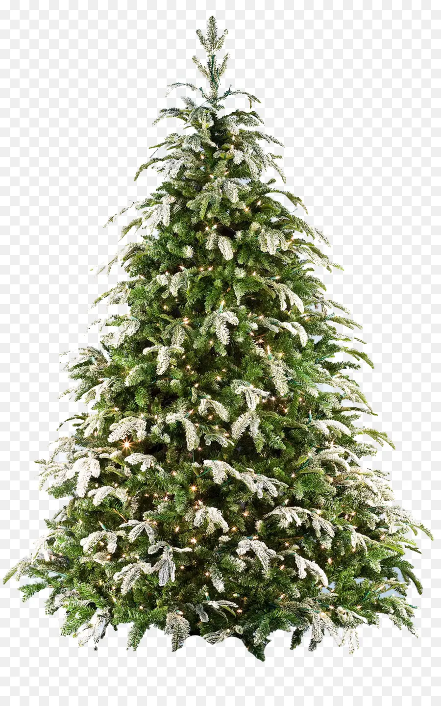 Árbol De Navidad，Árbol PNG