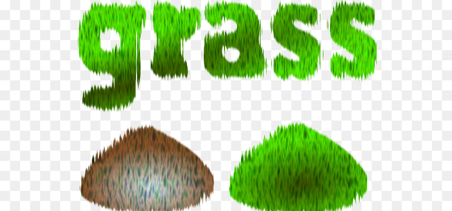 Pasto，Graminoide PNG