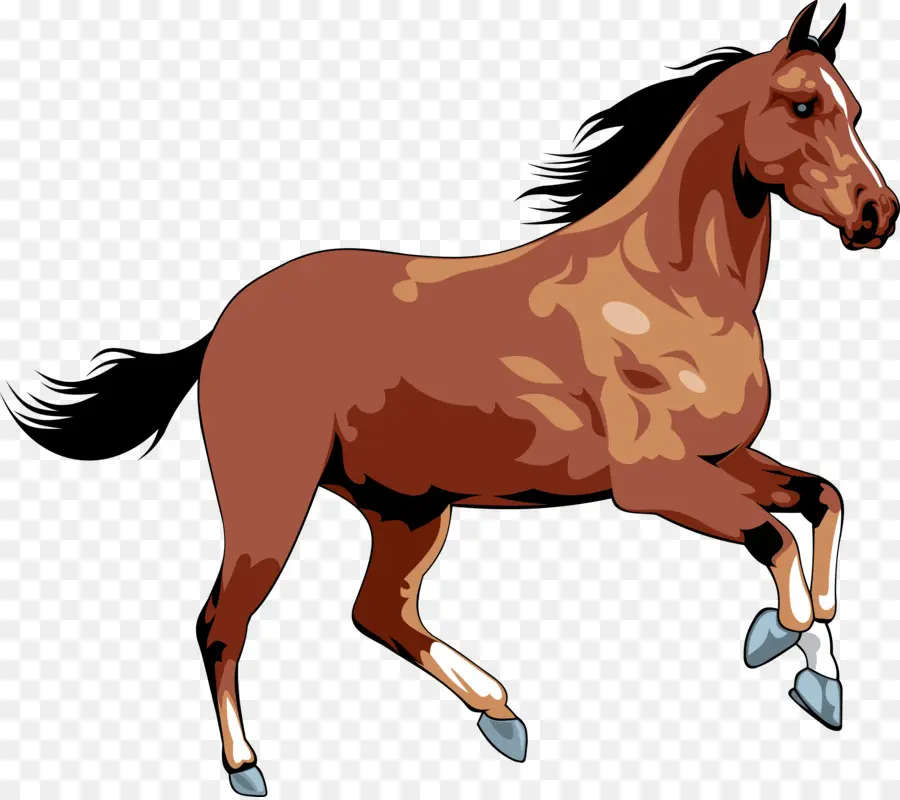 Caballo，Caballo Salvaje PNG