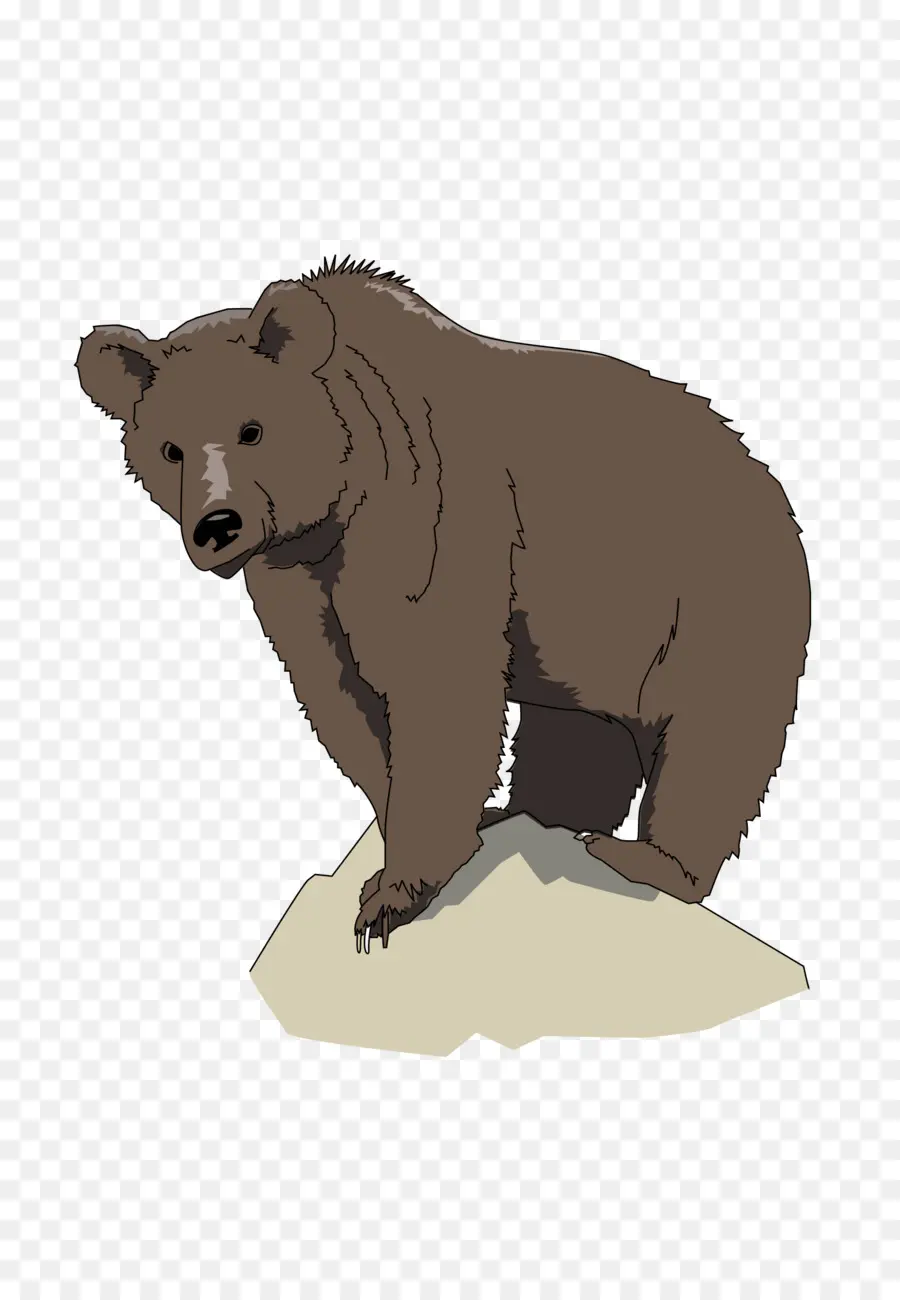 Oso Pardo，Animal PNG