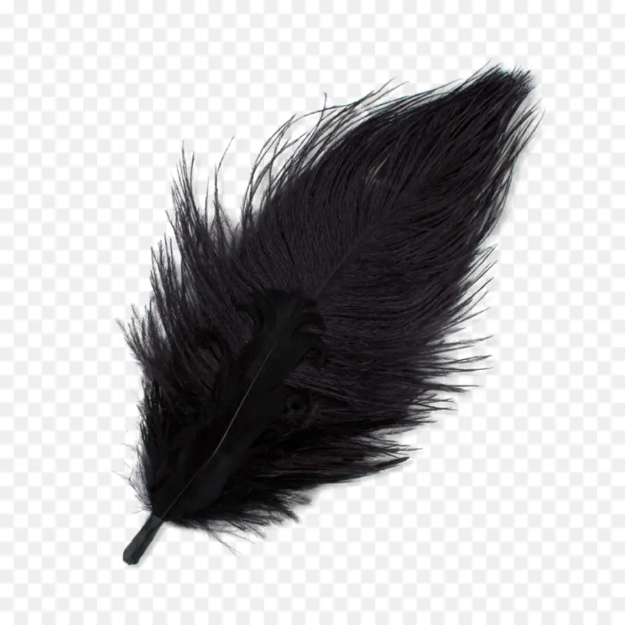 Pluma，Ganso PNG