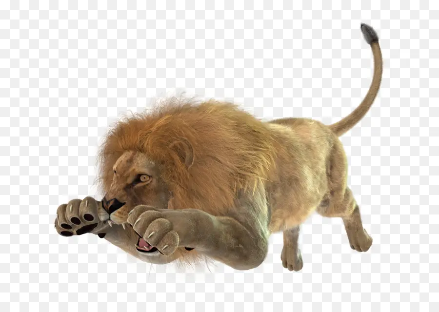 León，3d PNG