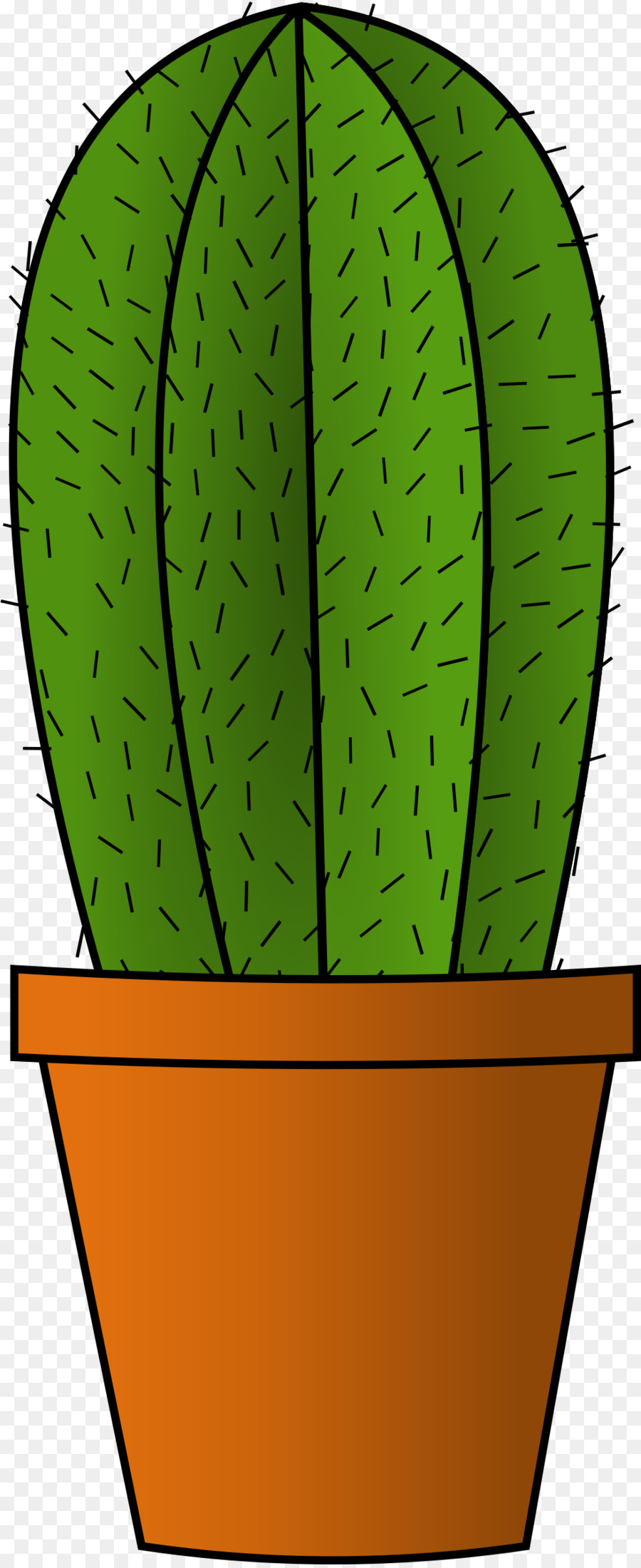 Cactaceae，Planta PNG