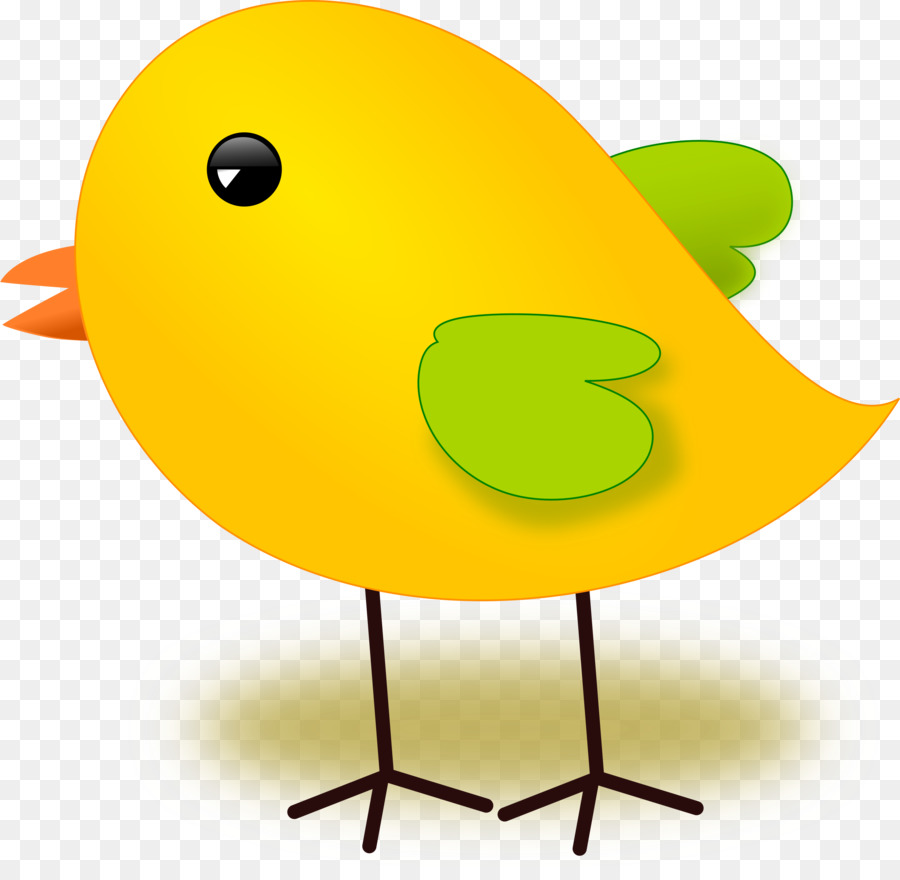 Pájaro De Dibujos Animados，Dibujos Animados PNG