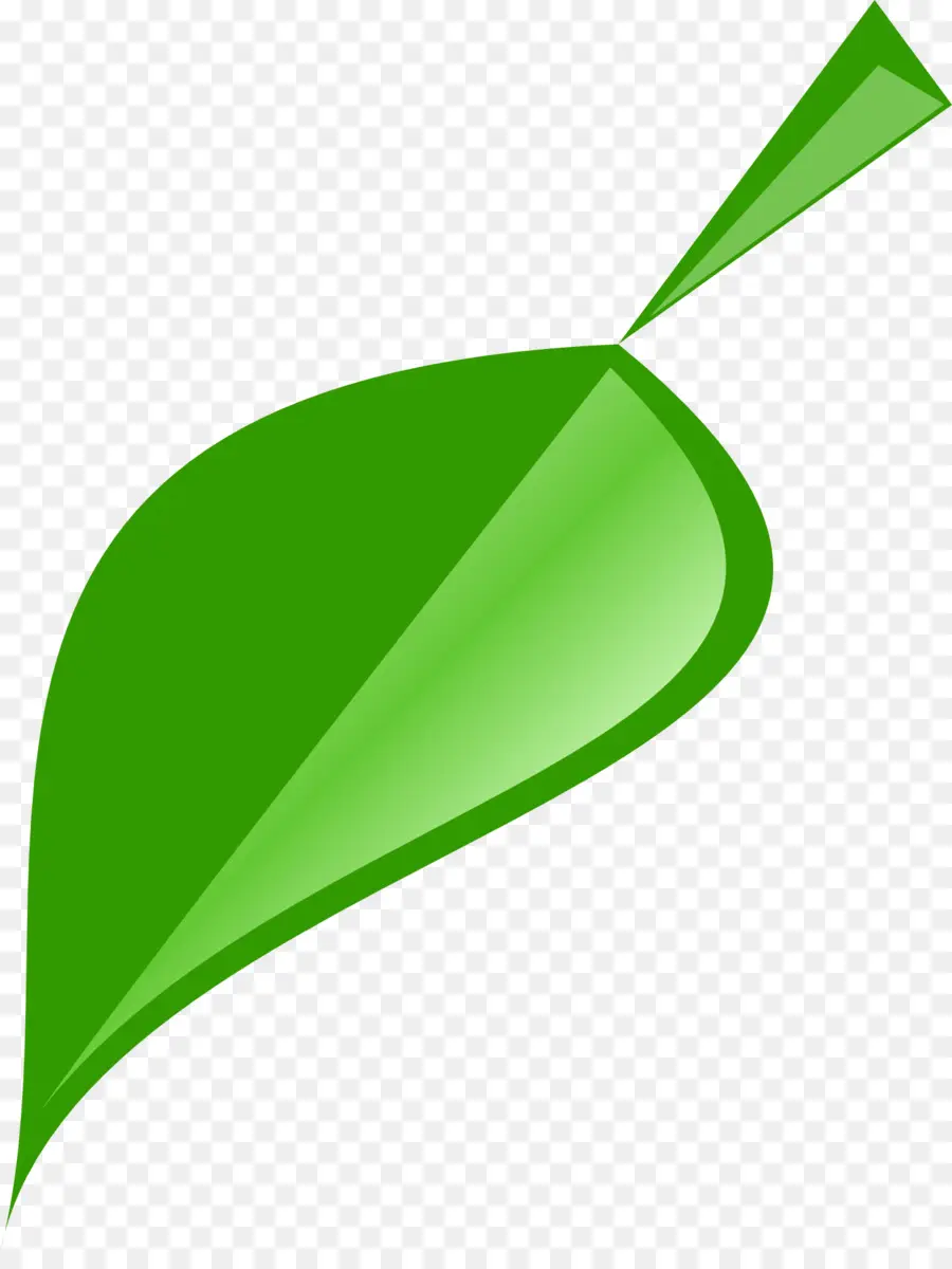 Hoja Verde，Planta PNG