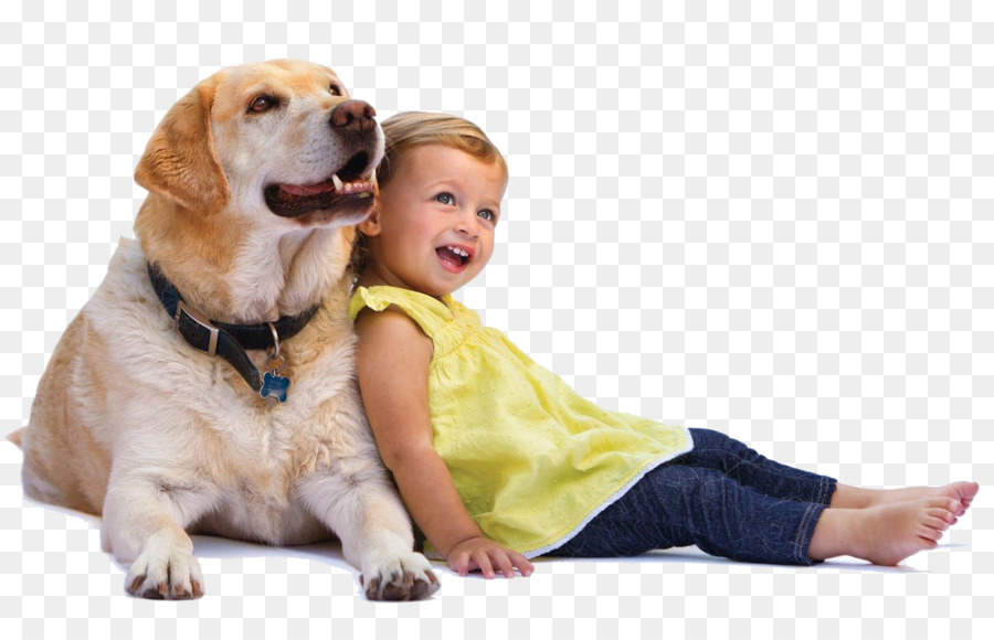 Perro Y Niño，Mascota PNG