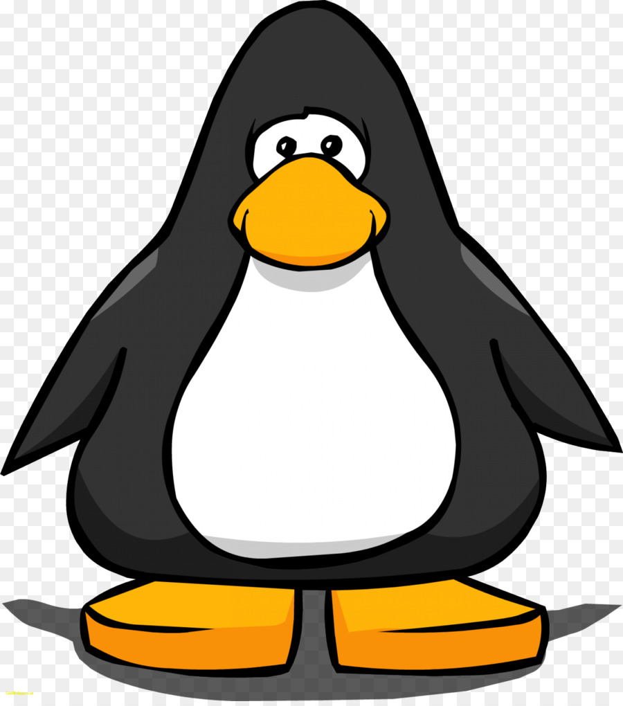 Pingüino Y Mono，Animal PNG