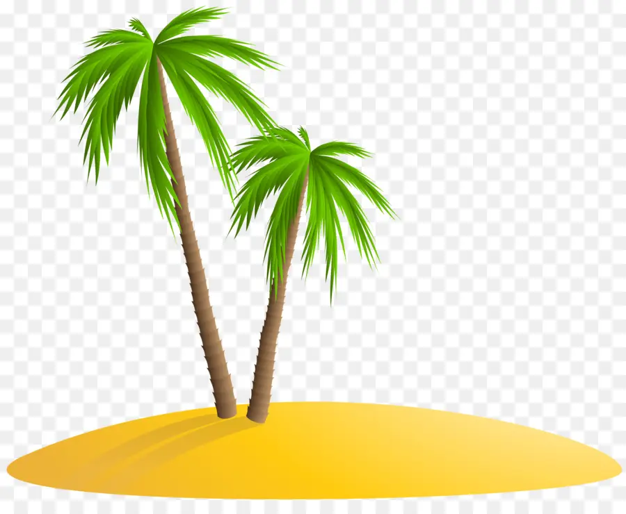 Palmera，Playa PNG