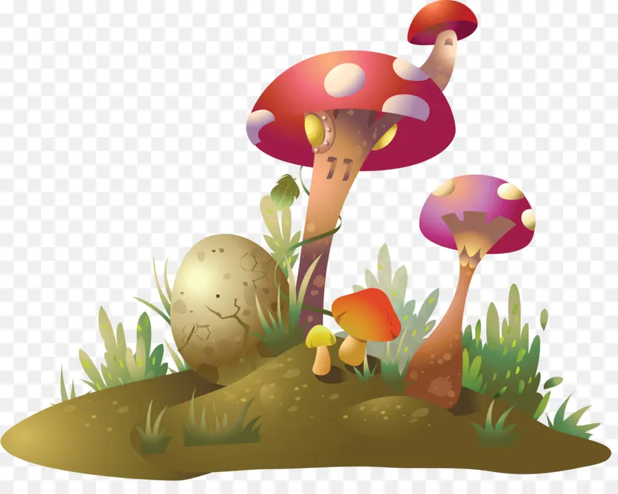 Hongos，Bosque PNG